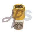 brass check valve with strainer